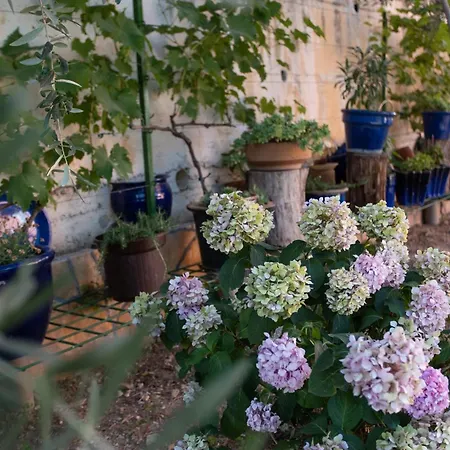 Apartament With Parking Space Kastel Kambelovac, - 23397