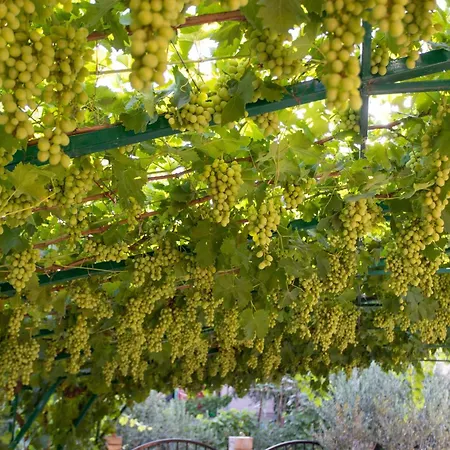 With Parking Space Kastel Kambelovac, - 23397 *